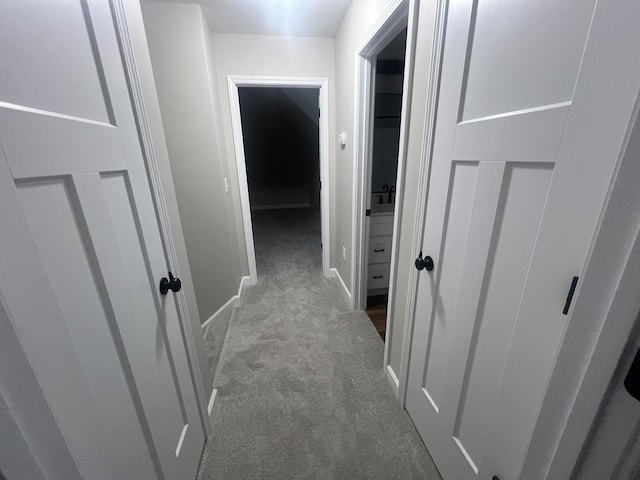 hallway with carpet flooring