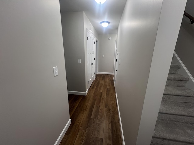 corridor featuring dark hardwood / wood-style floors