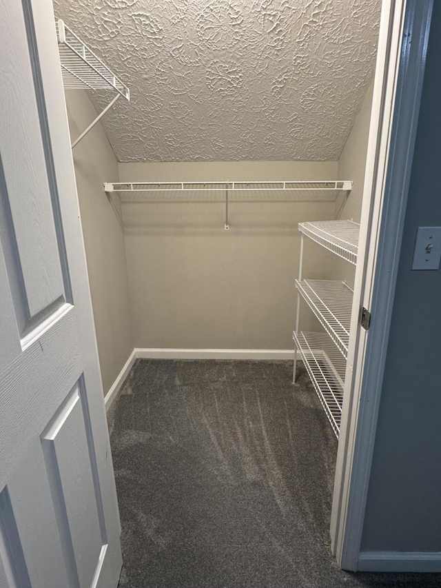 spacious closet with carpet and vaulted ceiling