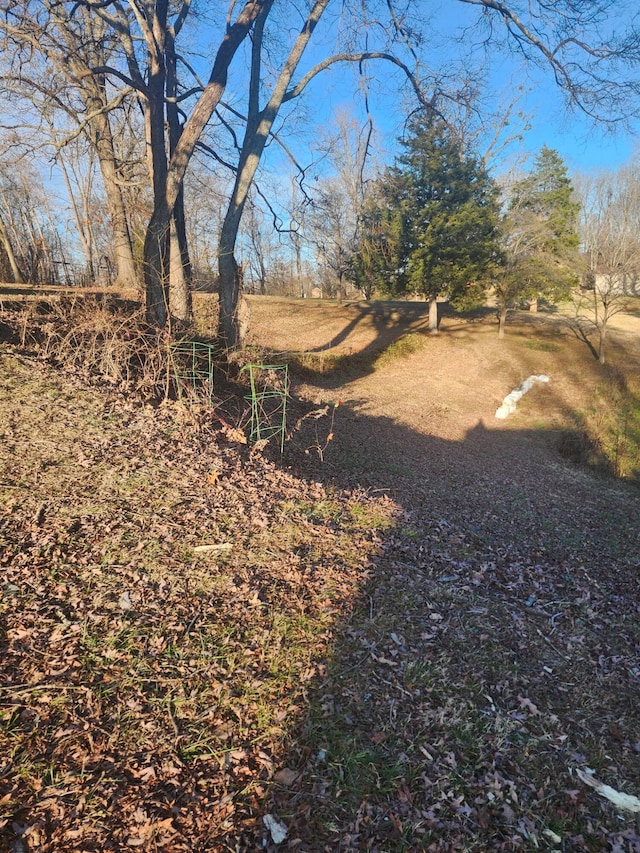 view of yard with a rural view