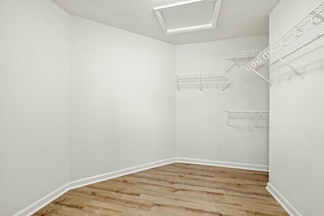 spacious closet featuring hardwood / wood-style flooring