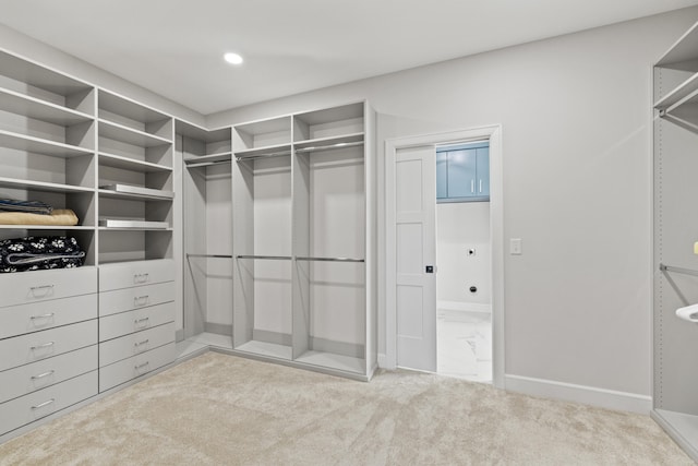 spacious closet with light carpet