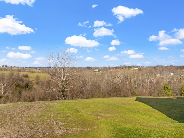 view of yard featuring a rural view