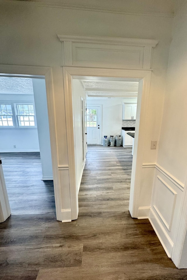 hallway featuring dark hardwood / wood-style flooring and plenty of natural light