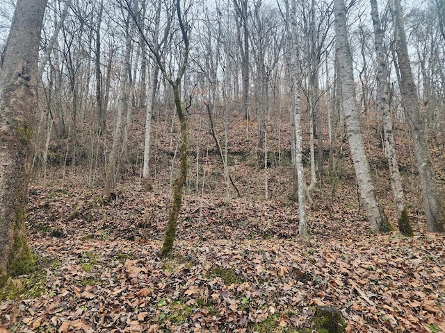 00 Stumbo Subdivision, Prestonsburg KY, 41653 land for sale