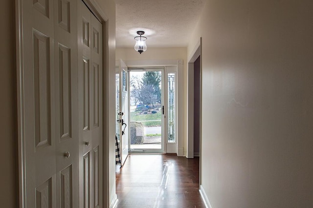 doorway with dark hardwood / wood-style flooring, a healthy amount of sunlight, and a textured ceiling