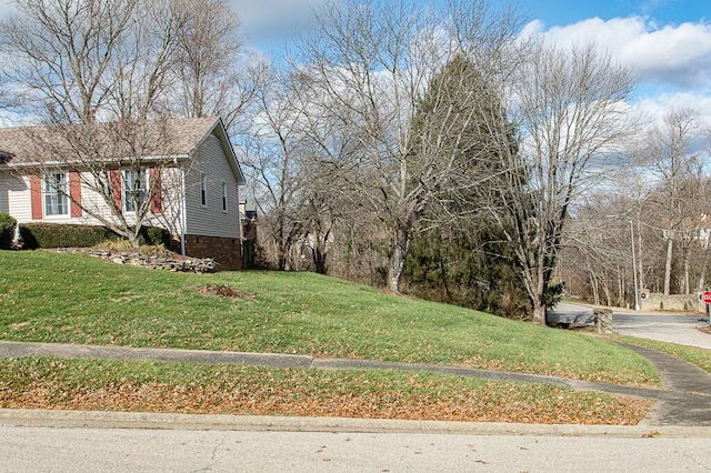 view of home's exterior featuring a yard