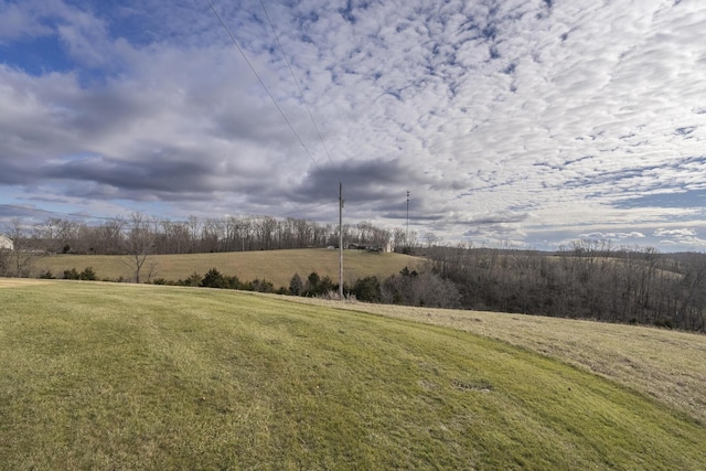 view of yard featuring a rural view