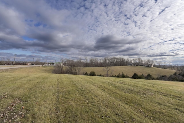 view of yard with a rural view