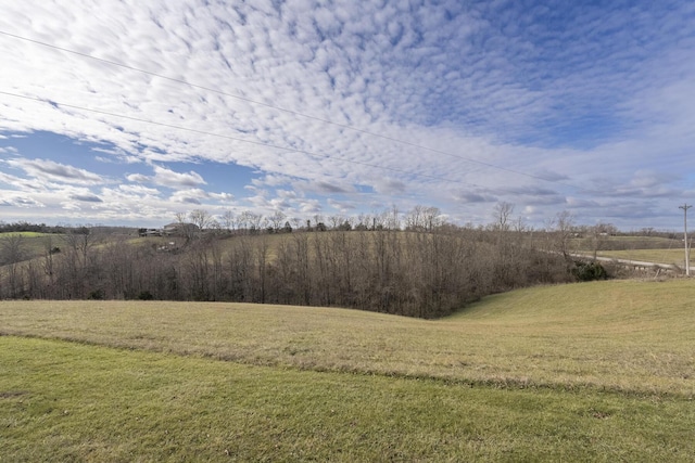 view of yard featuring a rural view