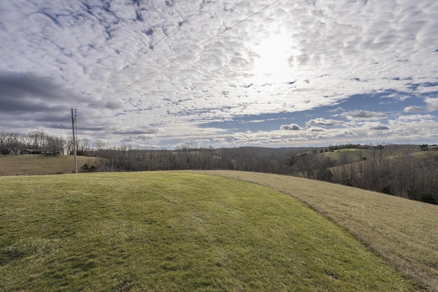 view of yard with a rural view