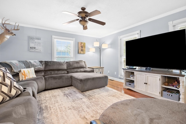 living room featuring crown molding, wood finished floors, baseboards, and ceiling fan