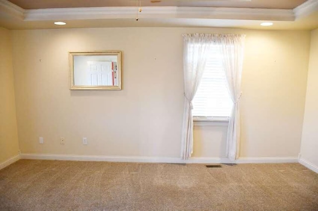 empty room with carpet, plenty of natural light, and a raised ceiling