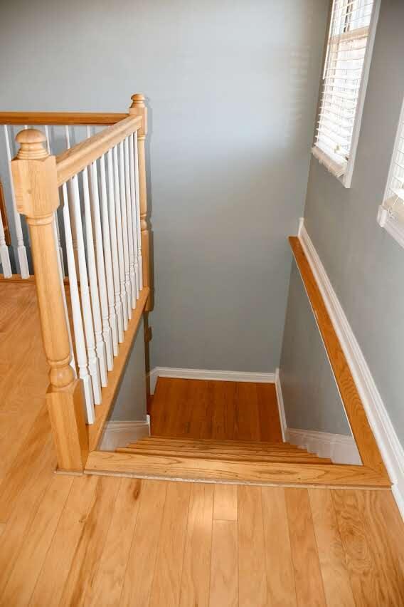 staircase with wood-type flooring