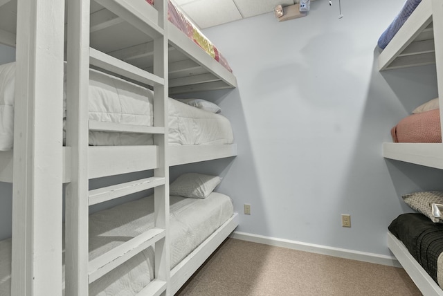 walk in closet with carpet