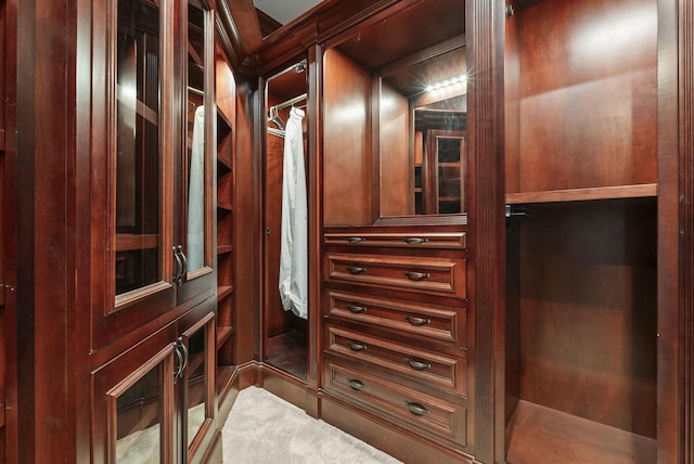 walk in closet with carpet