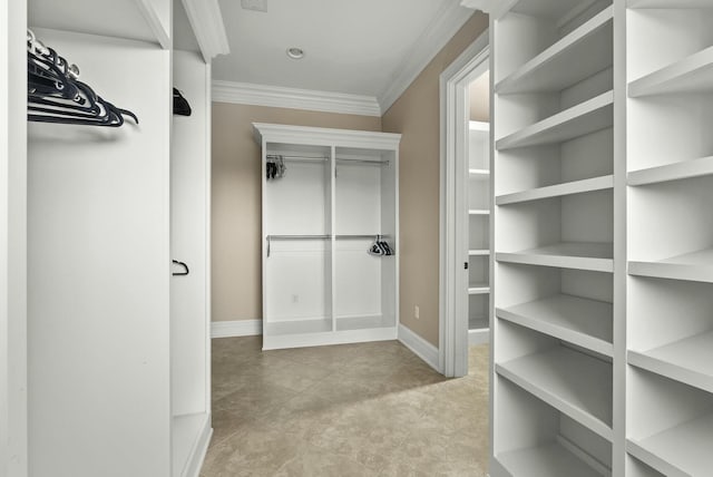 view of spacious closet