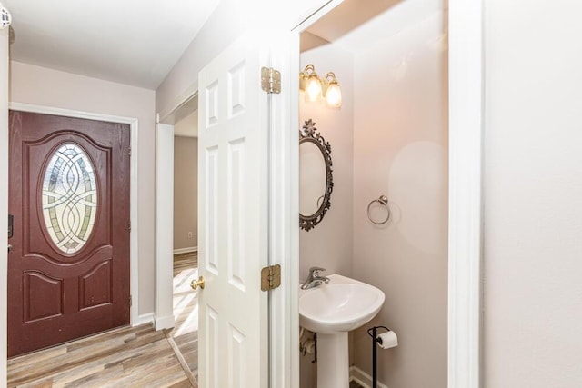 bathroom featuring sink and wood-type flooring