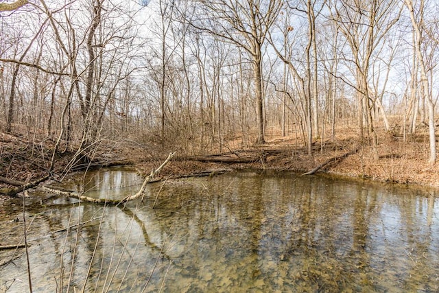 water view