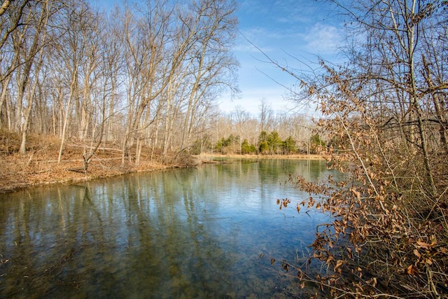 view of water feature