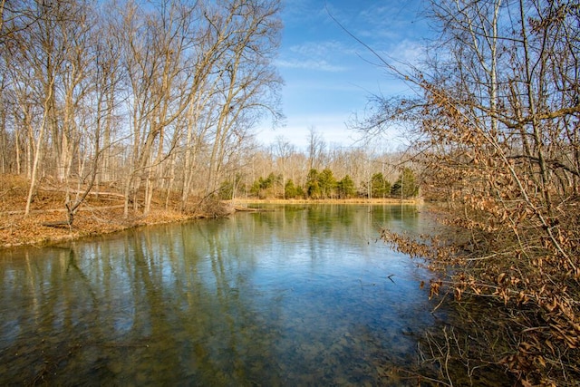 view of water feature