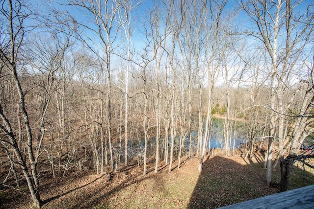 view of landscape featuring a water view