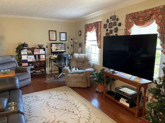 living room with wood-type flooring, a textured ceiling, and ornamental molding