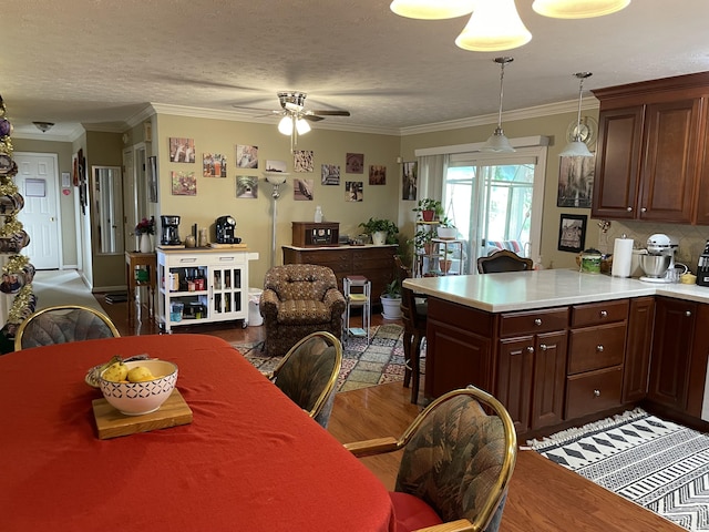 kitchen with ceiling fan, hanging light fixtures, dark hardwood / wood-style flooring, crown molding, and a textured ceiling