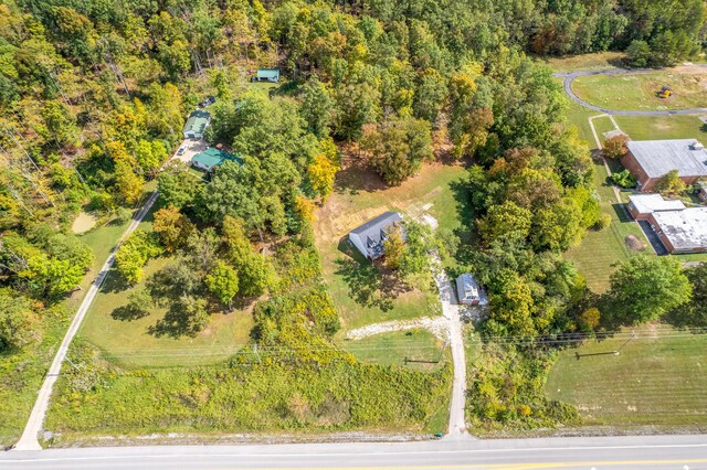 rear view of property with a lawn and ceiling fan