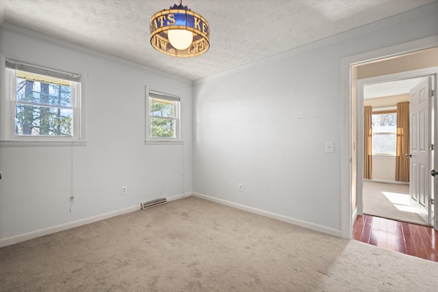 unfurnished room with carpet floors, a textured ceiling, and a wealth of natural light