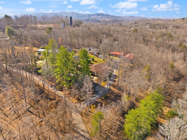 birds eye view of property featuring a mountain view