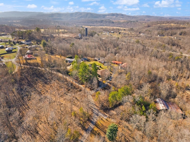 drone / aerial view with a mountain view