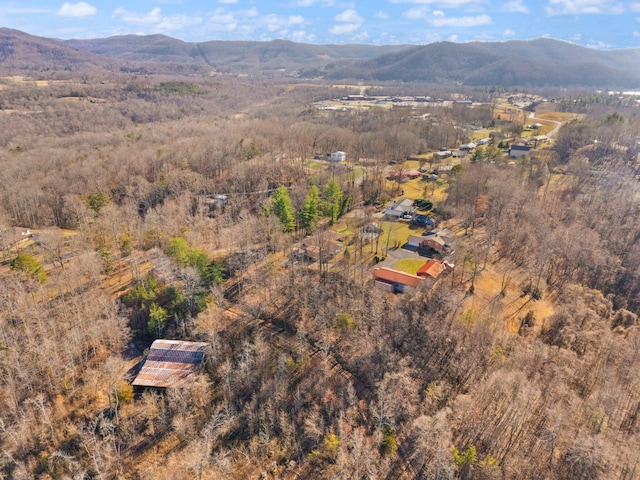 drone / aerial view with a mountain view