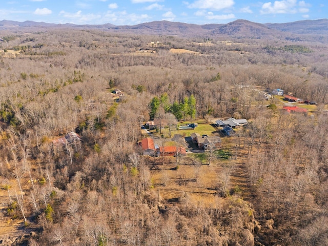 aerial view with a mountain view