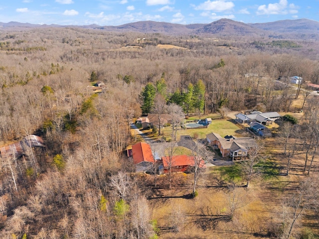 drone / aerial view featuring a mountain view