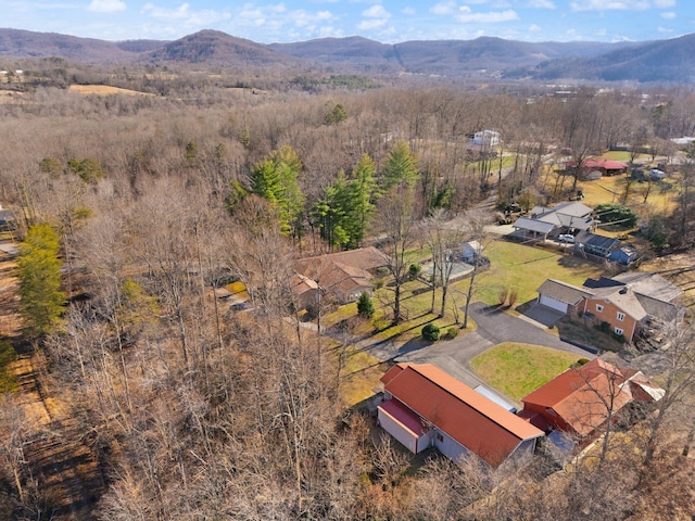 bird's eye view featuring a mountain view