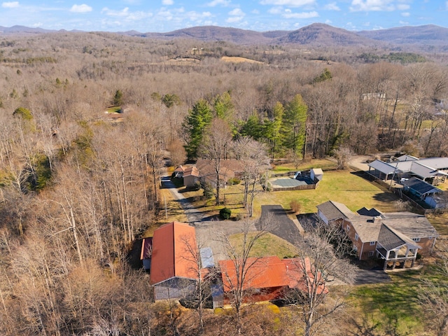 drone / aerial view featuring a mountain view