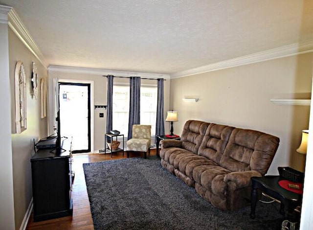 living room featuring crown molding and dark wood-type flooring