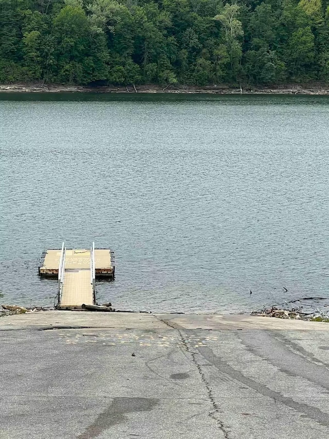 property view of water featuring a boat dock