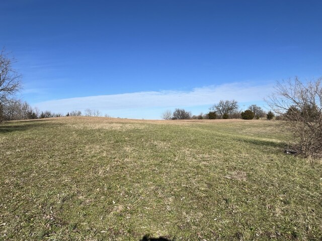 view of yard with a rural view