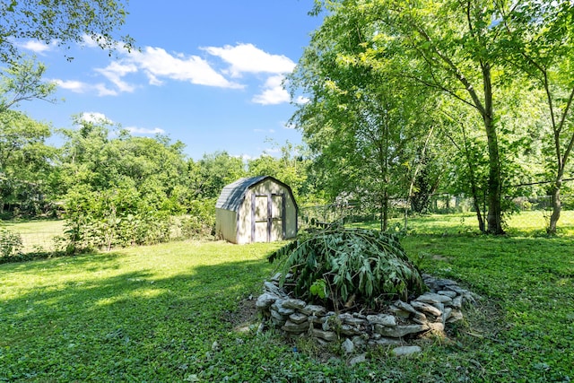 view of yard featuring a storage shed