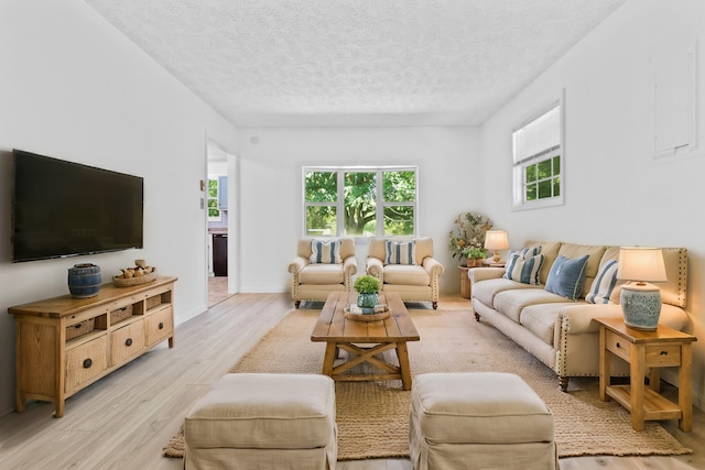 living room with a textured ceiling and light hardwood / wood-style flooring