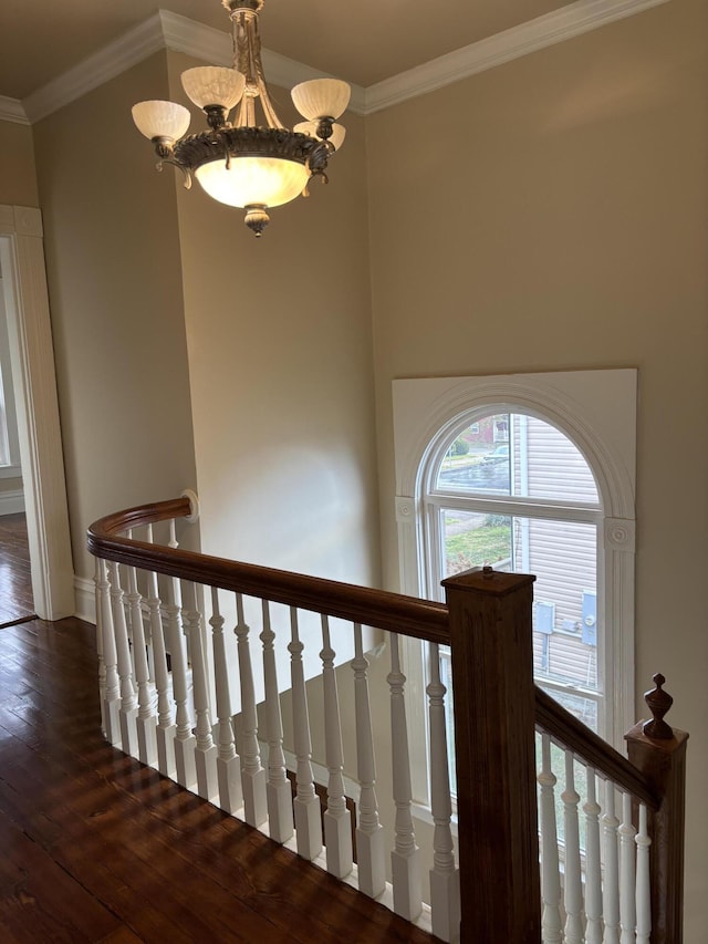 stairs featuring hardwood / wood-style flooring, an inviting chandelier, and ornamental molding