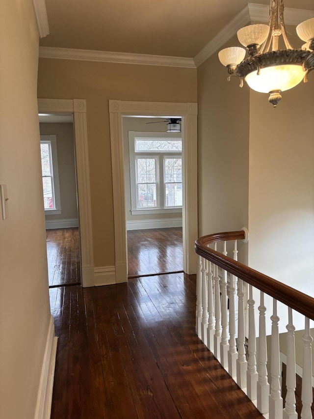 hall with crown molding, a chandelier, and dark hardwood / wood-style floors