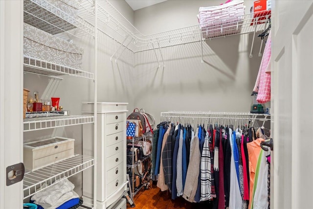 spacious closet with wood-type flooring