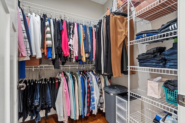 walk in closet featuring wood-type flooring