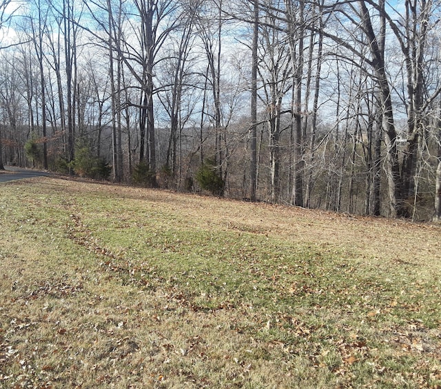 32 Laurelwood Ln, Nancy KY, 42544 land for sale