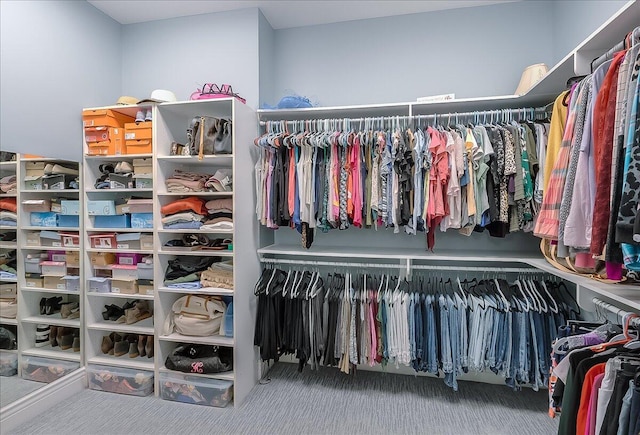 walk in closet with carpet flooring