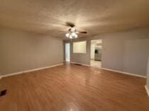 empty room with hardwood / wood-style flooring and ceiling fan