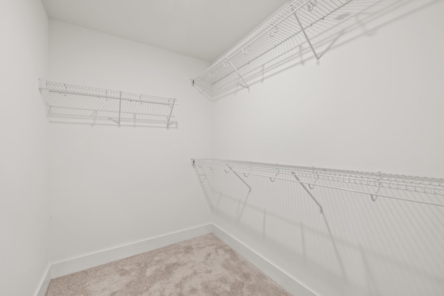 spacious closet with carpet flooring